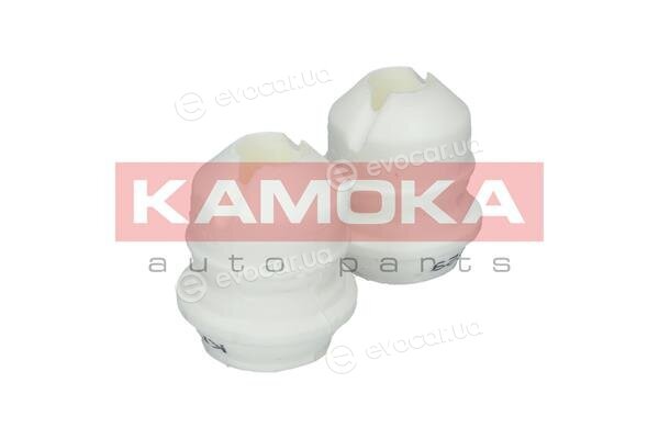 Kamoka 2019029