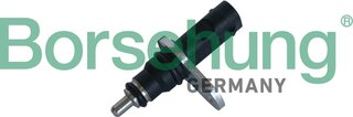 Borsehung B11863