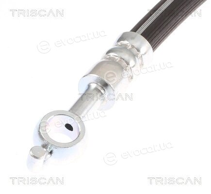 Triscan 8150 21310