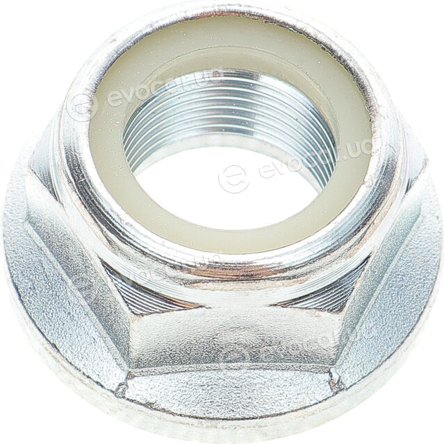 Solgy 216270