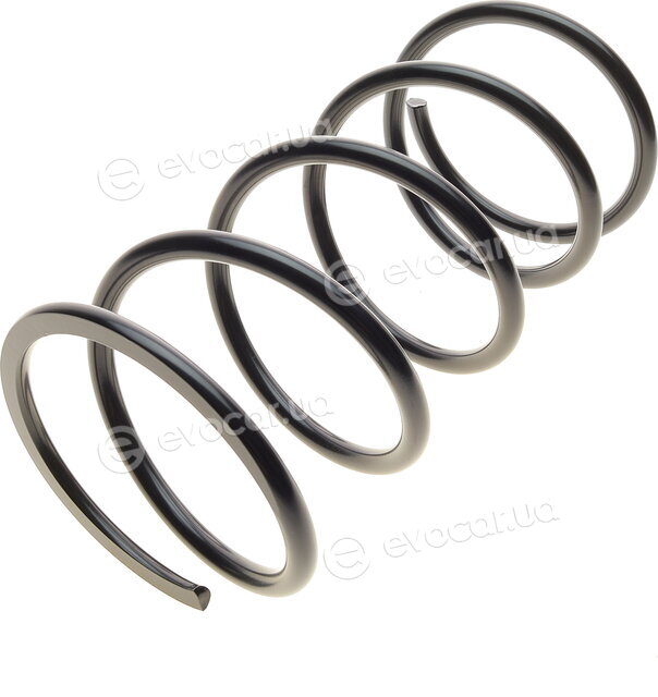 Lesjofors 4259243