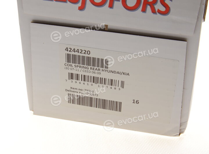 Lesjofors 4244220