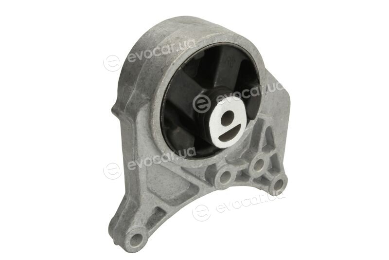 Reinhoch RH11-6009