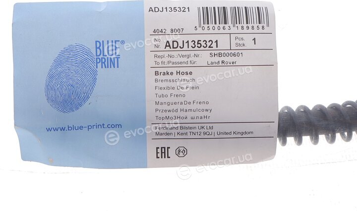 Blue Print ADJ135321