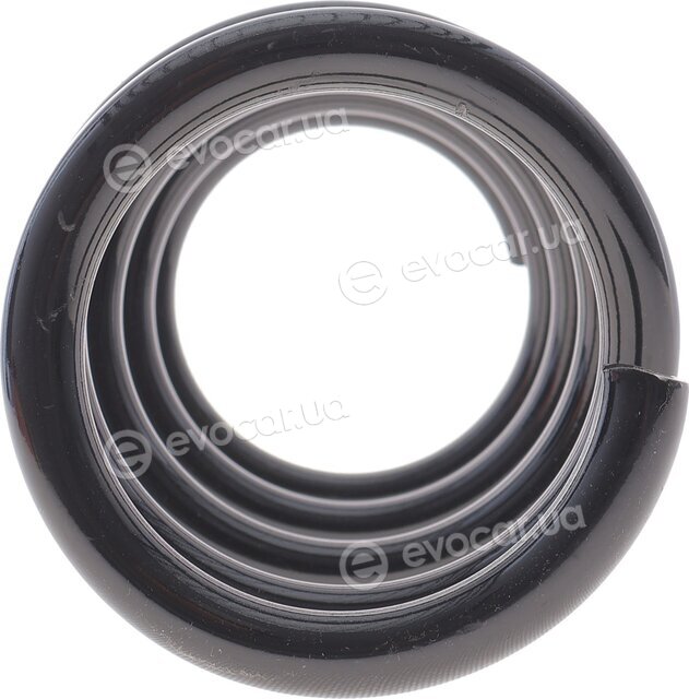 Solgy 212154