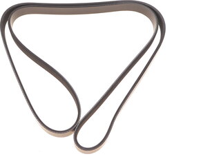 Dayco 6PK1655