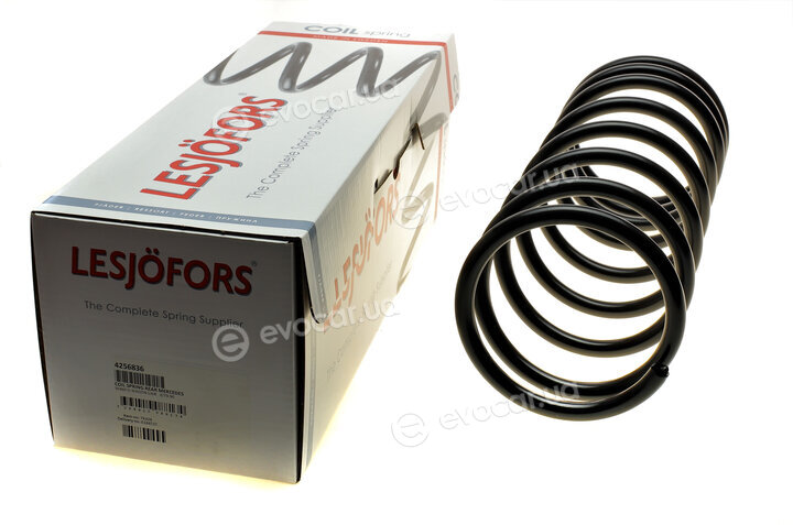 Lesjofors 4256836