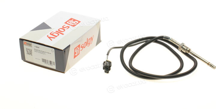 Solgy 115034