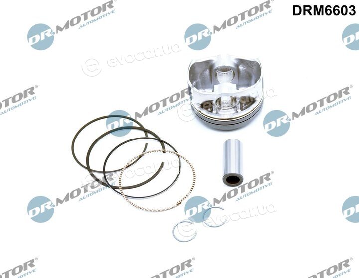 Dr. Motor DRM6603