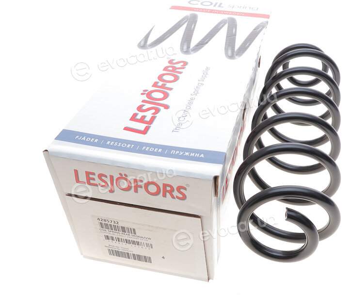 Lesjofors 4285732