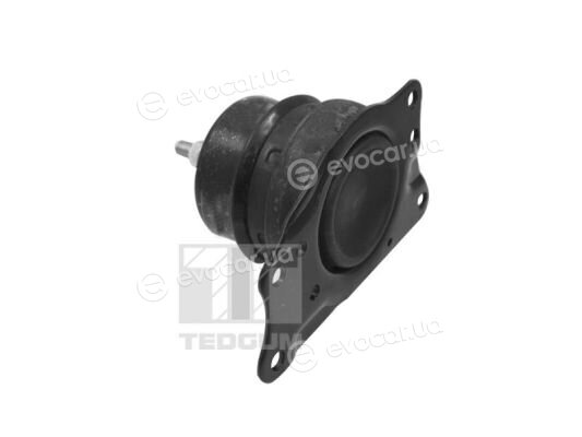 Tedgum TED40385