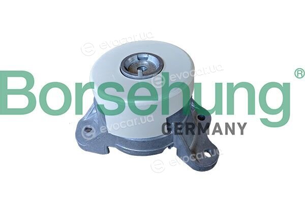 Borsehung B13039