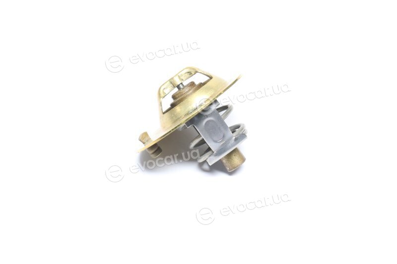 Wahler / BorgWarner 3119.82