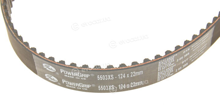 Gates K015503XS