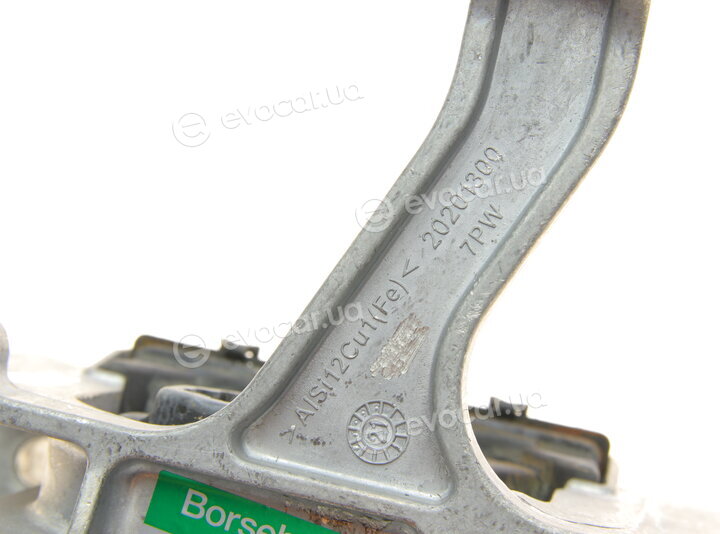 Borsehung B10988