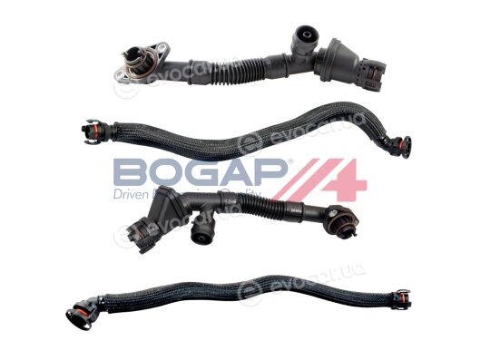 Bogap B1217102