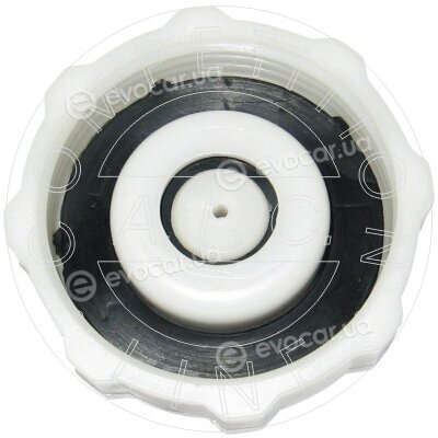 AIC 55733