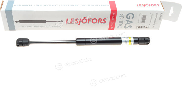 Lesjofors 8042101