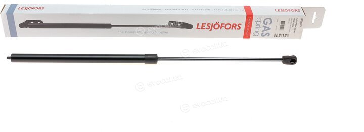Lesjofors 8056827