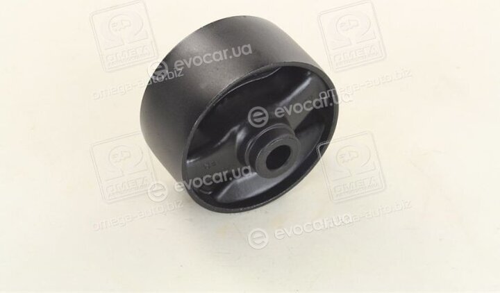RBI T0910FA