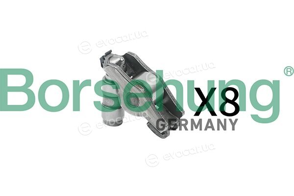 Borsehung B18208