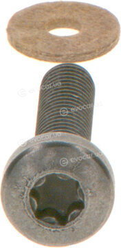 Bosch F 00N 202 193