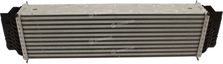 Starline A BW 4376