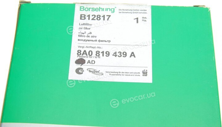 Borsehung B12817