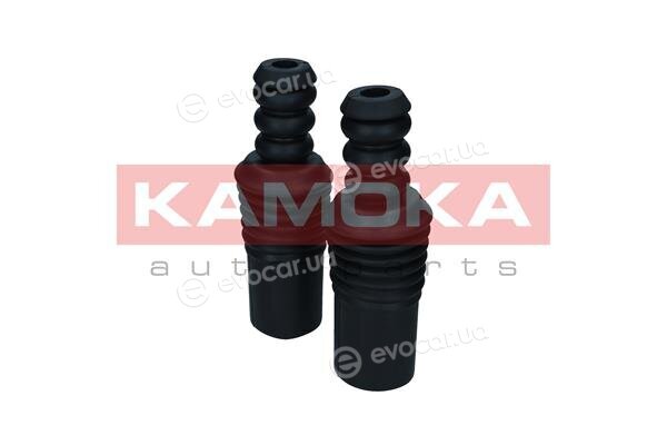 Kamoka 2019237