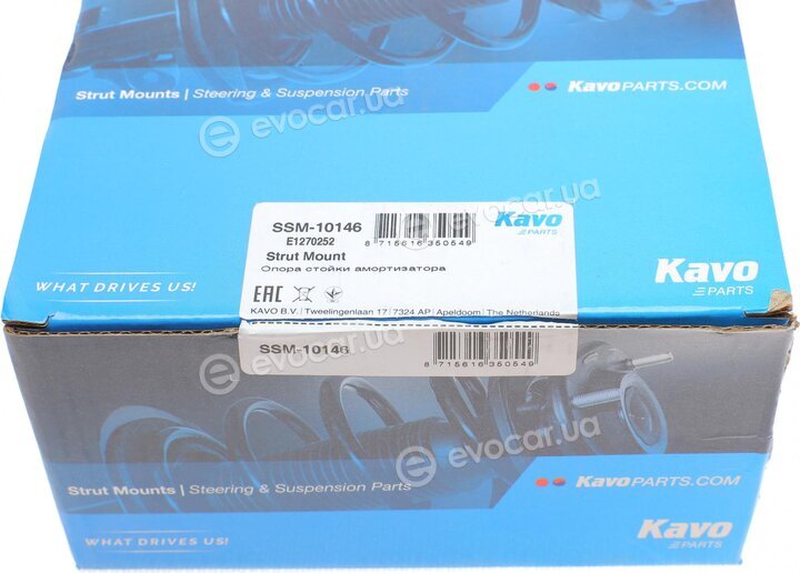 Kavo SSM-10146