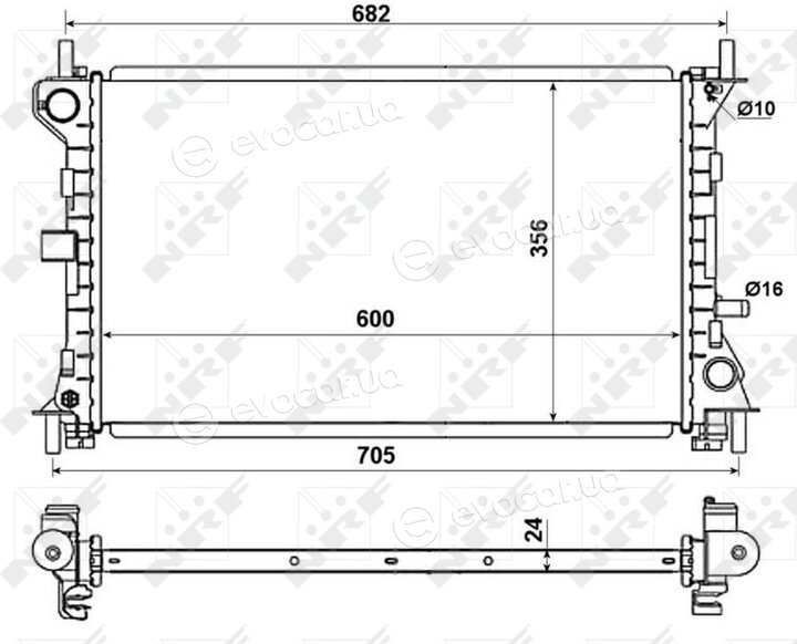 NRF 509638