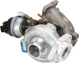 BorgWarner 53039900189