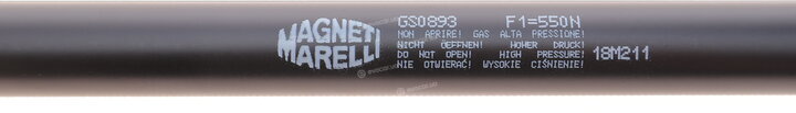 Magneti Marelli 430719089300