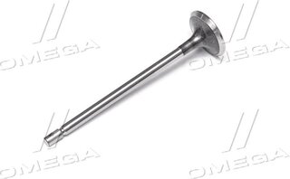 Gunes 4658
