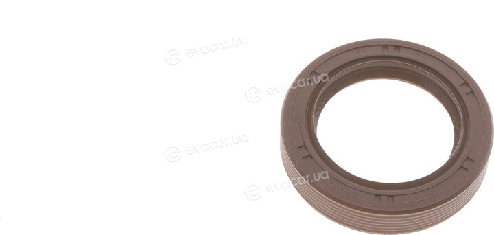 Borsehung B11307