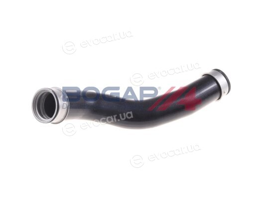 Bogap C1711118