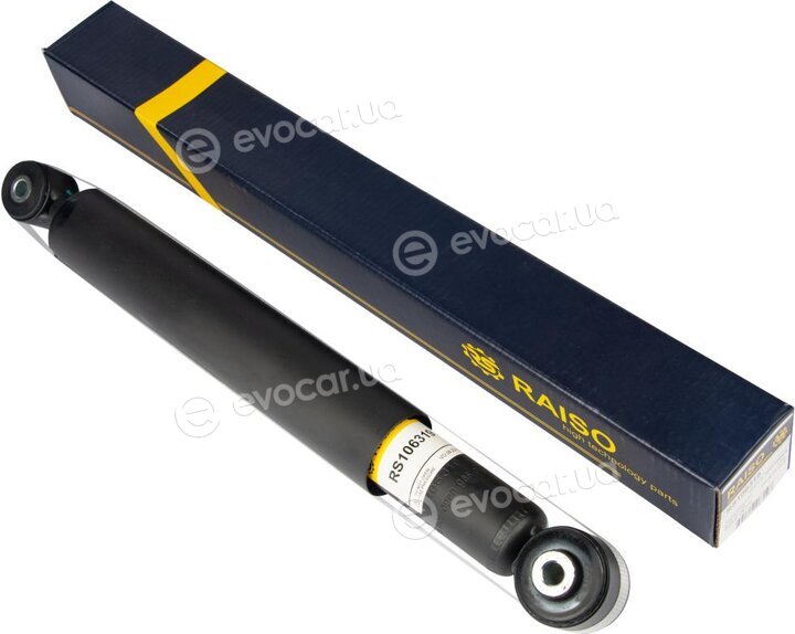Raiso RS106319