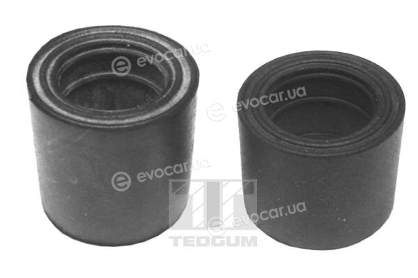 Tedgum 00745061