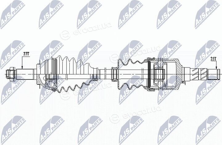 NTY NPW-SB-019