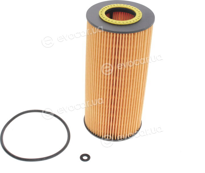 Solgy 101013