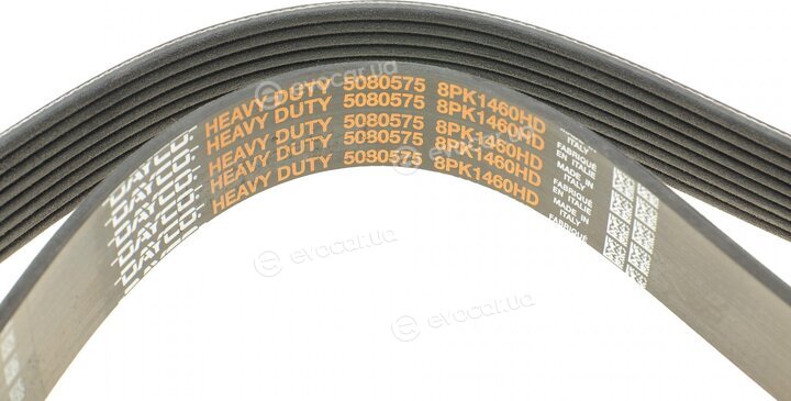 Dayco 8PK1460HD