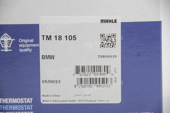Mahle TM 18 105