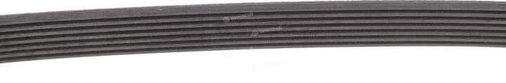 Continental 7PK1038ELAST