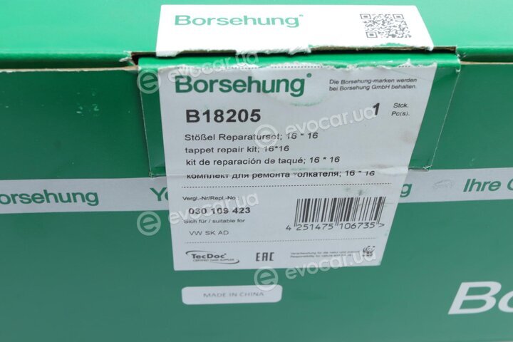 Borsehung B18205