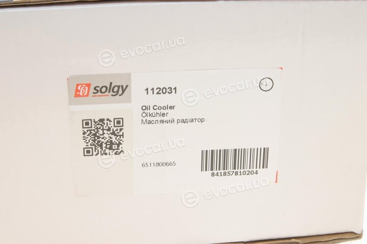 Solgy 112031