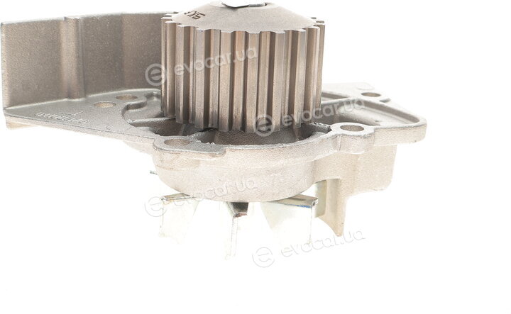 SKF VKMC 03244