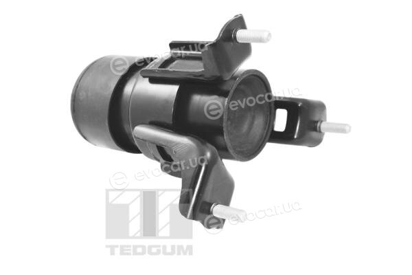 Tedgum TED62860