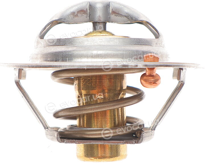 Mahle TX 166 85D