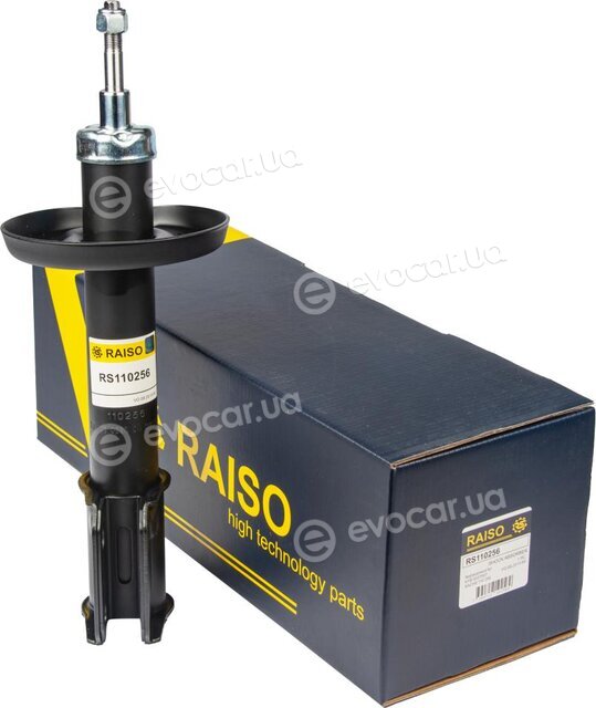 Raiso RS110256