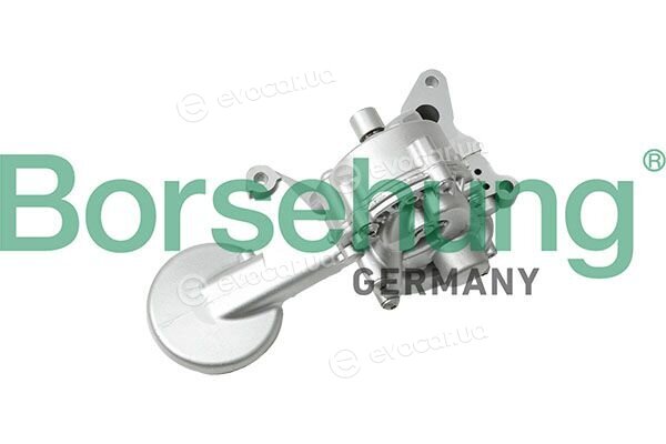 Borsehung B11907